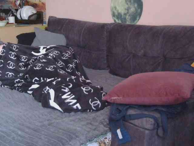 Ornotores_wers webcam
