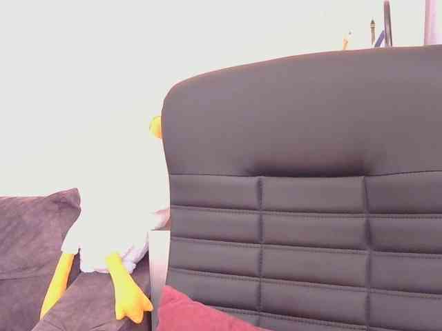 Ornotores_wers webcam