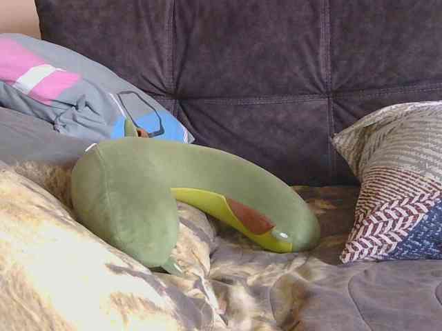Ornotores_wers webcam