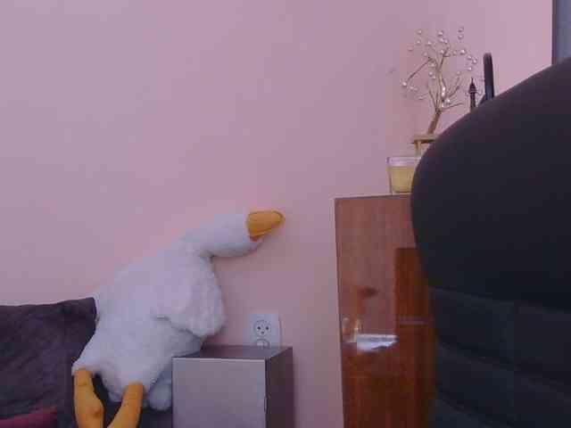 Ornotores_wers webcam