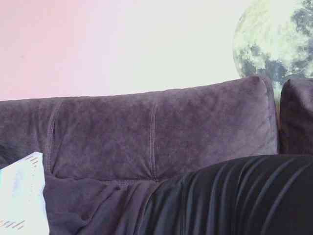 Ornotores_wers webcam