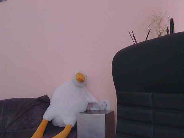 Ornotores_wers webcam