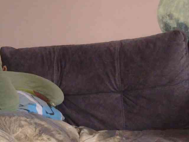 Ornotores_wers webcam