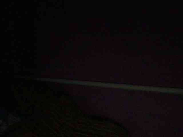 Ornotores_wers webcam