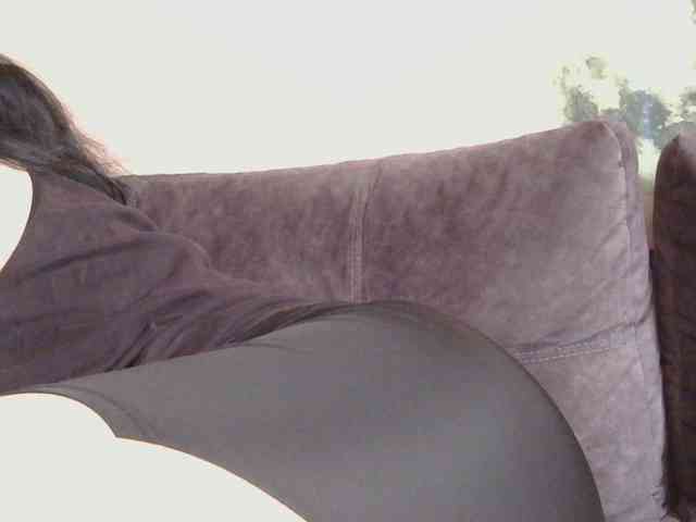 Ornotores_wers webcam