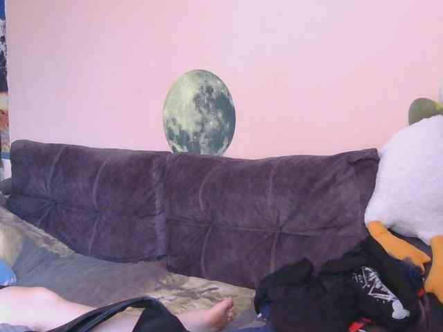 Ornotores_wers webcam