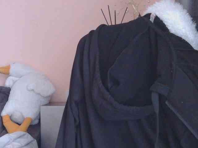 Ornotores_wers webcam
