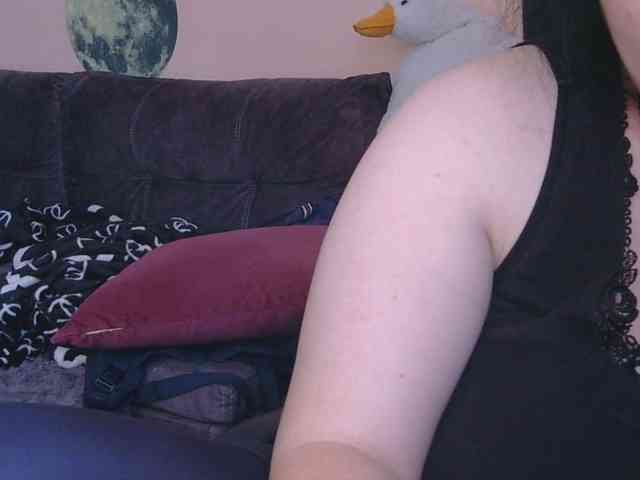 Ornotores_wers webcam