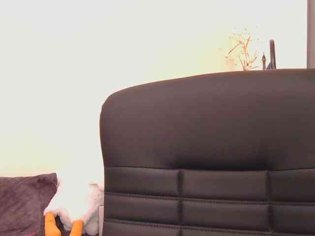 Ornotores_wers webcam