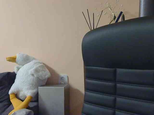 Ornotores_wers webcam
