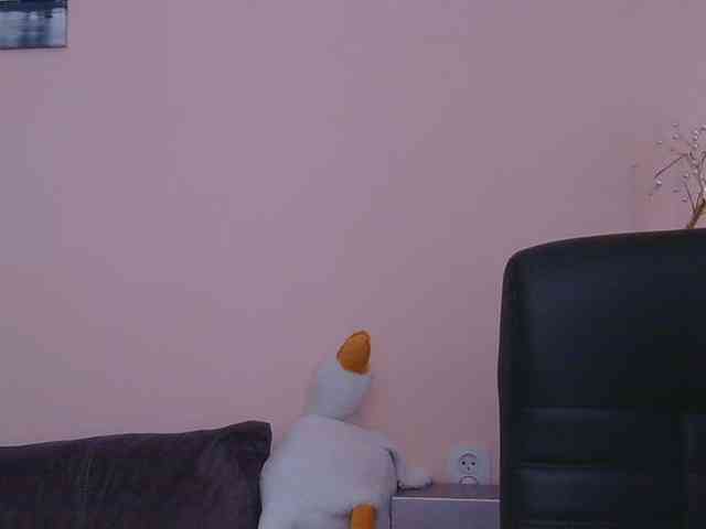 Ornotores_wers webcam