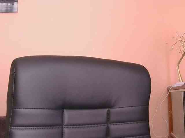 Ornotores_wers webcam
