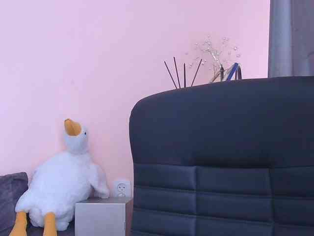 Ornotores_wers webcam
