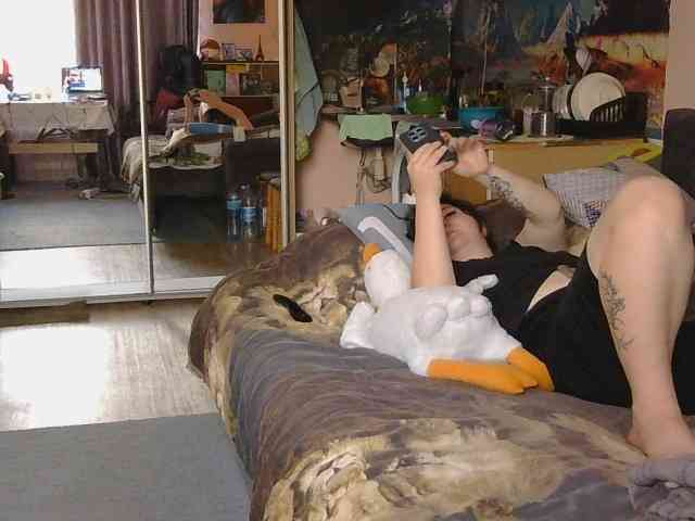 Ornotores_wers webcam