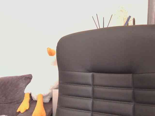 Ornotores_wers webcam