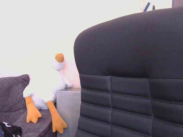 Ornotores_wers webcam