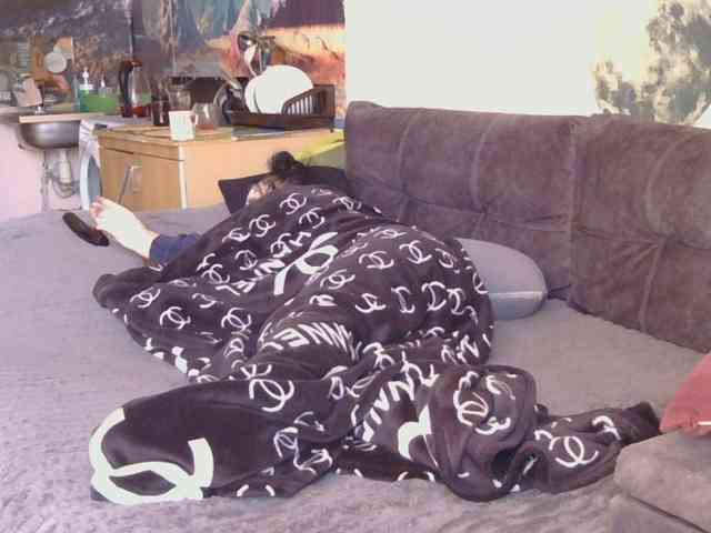 Ornotores_wers webcam