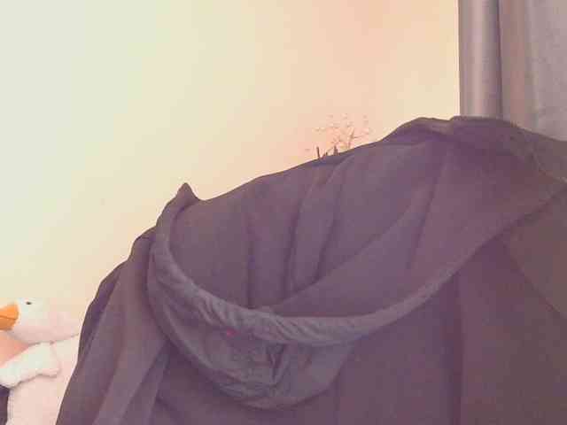 Ornotores_wers webcam