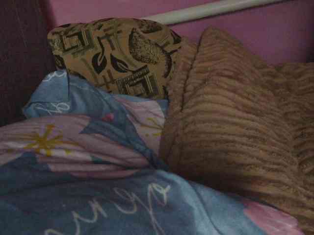 Ornotores_wers webcam