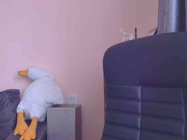 Ornotores_wers webcam