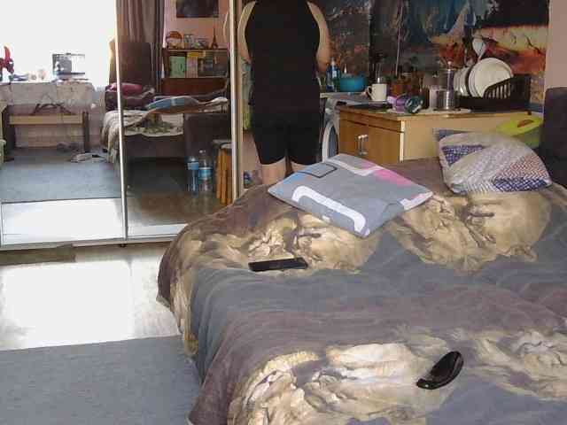 Ornotores_wers webcam