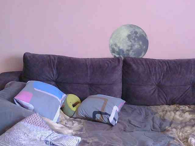 Ornotores_wers webcam