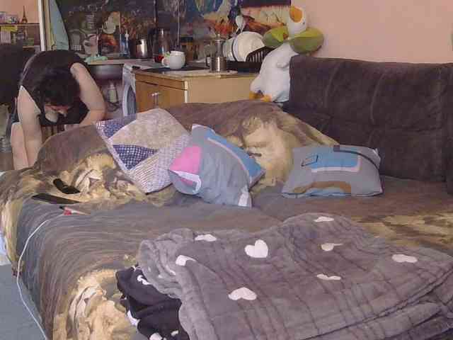 Ornotores_wers webcam