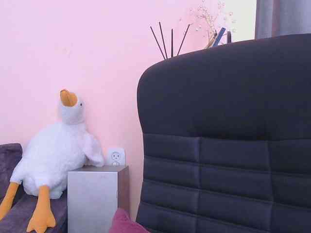 Ornotores_wers webcam
