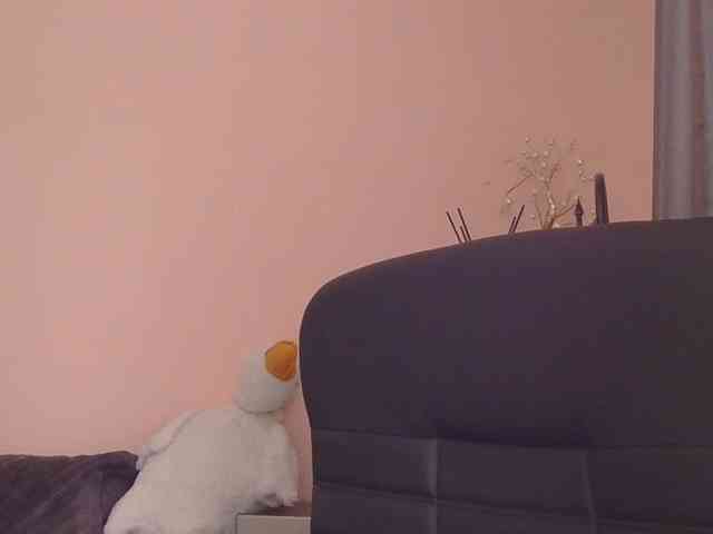 Ornotores_wers webcam