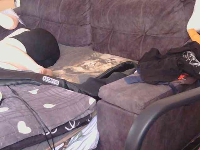 Ornotores_wers webcam