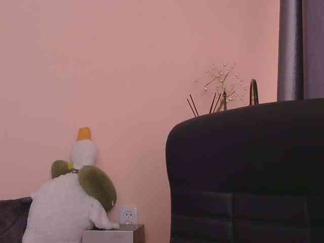 Ornotores_wers webcam