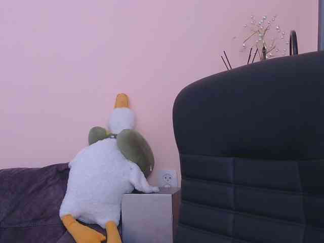Ornotores_wers webcam