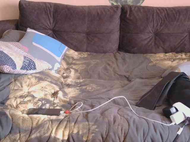 Ornotores_wers webcam