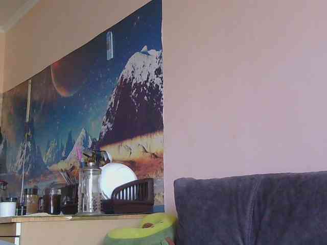 Ornotores_wers webcam