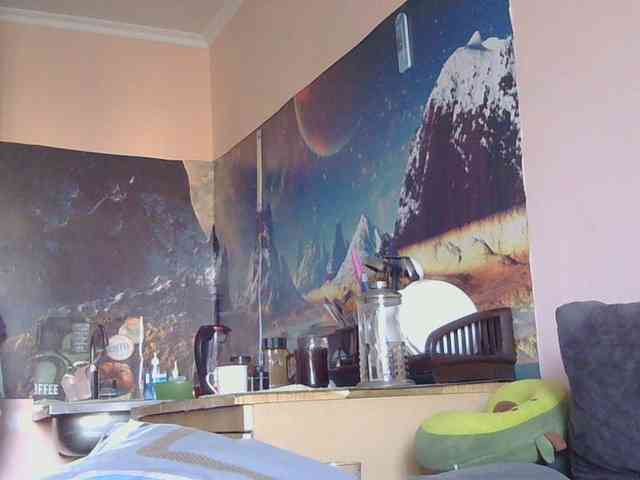 Ornotores_wers webcam
