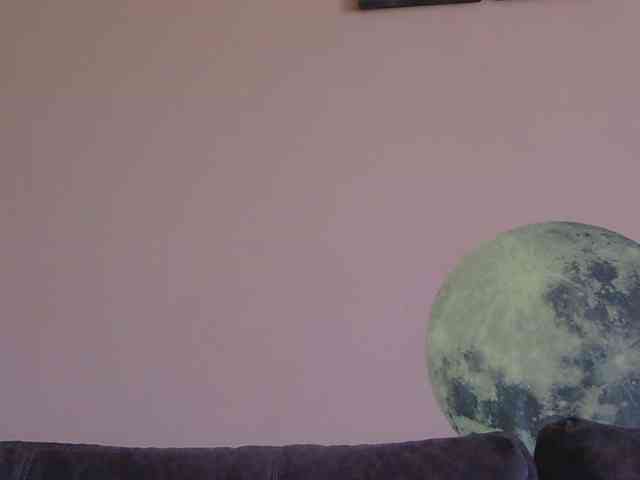 Ornotores_wers webcam