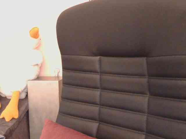 Ornotores_wers webcam