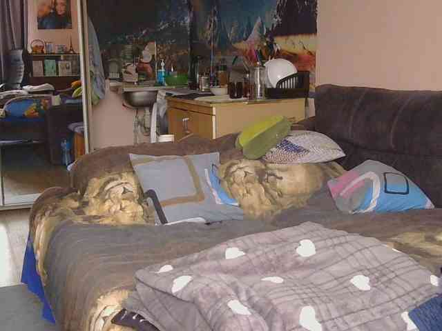 Ornotores_wers webcam