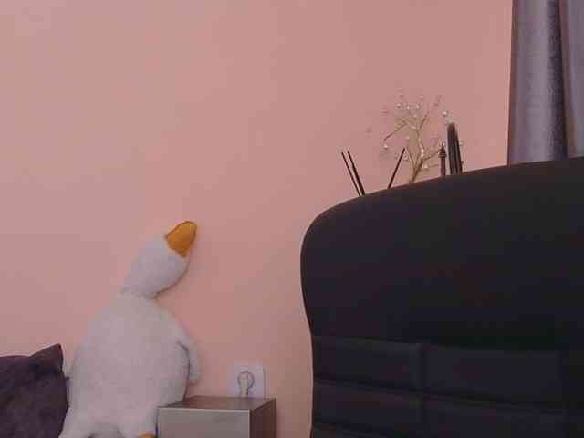 Ornotores_wers webcam