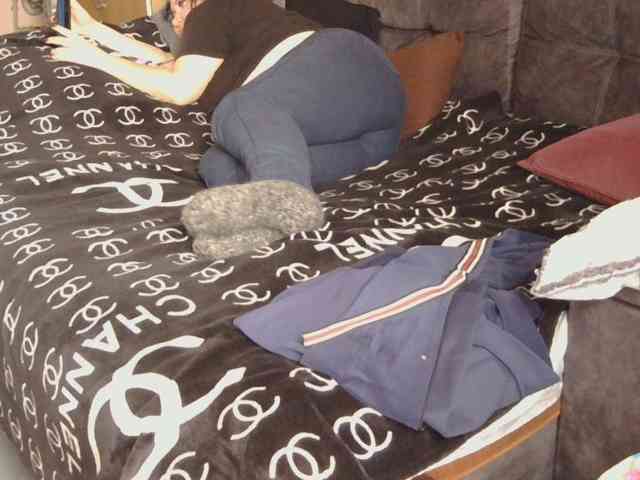 Ornotores_wers webcam