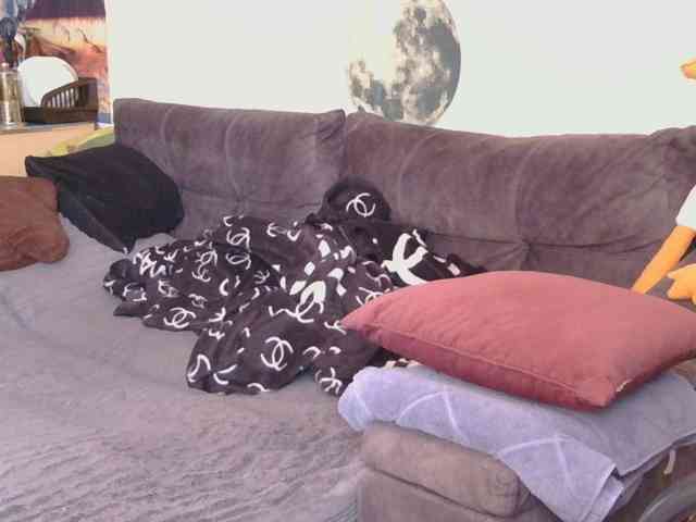 Ornotores_wers webcam