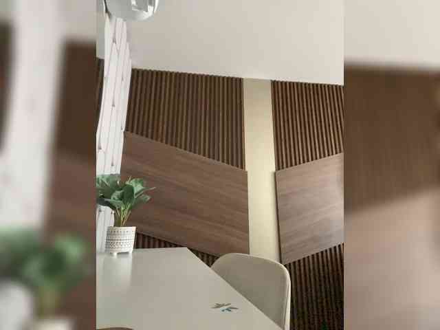 Angellx webcam