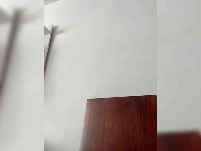 Angellx