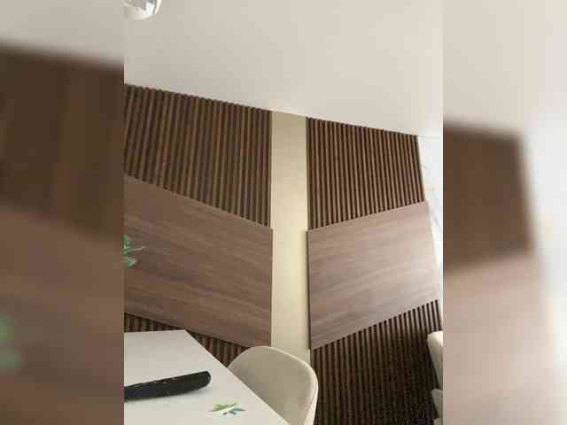 Angellx webcam
