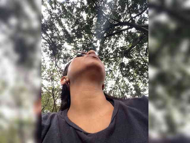 Angellx