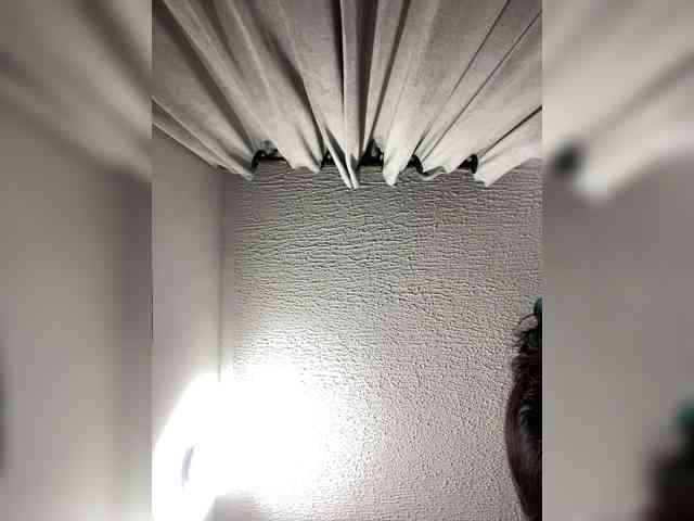 Angellx webcam