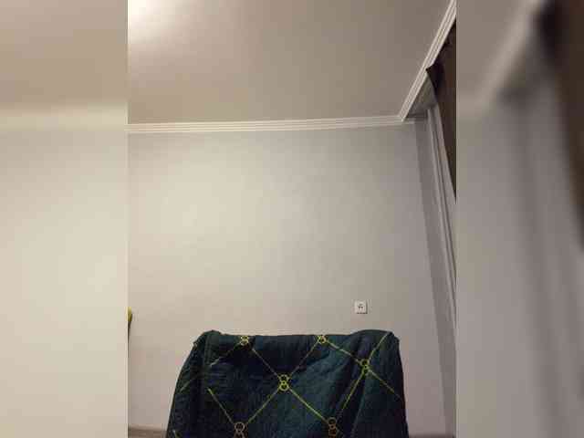 Saliss1 webcam