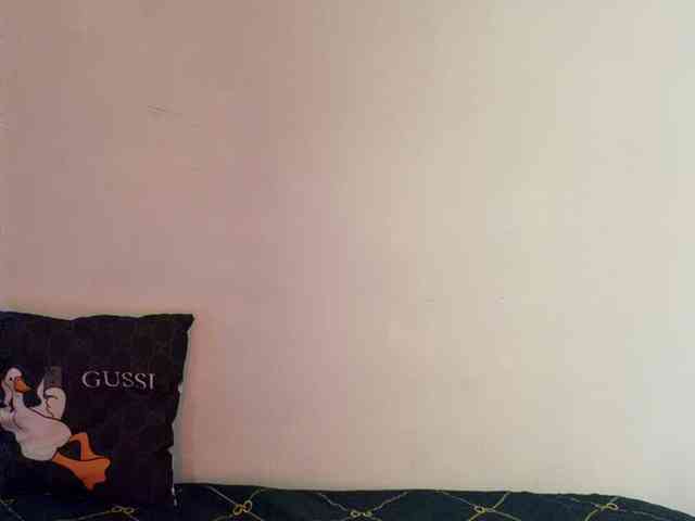 Saliss1 webcam