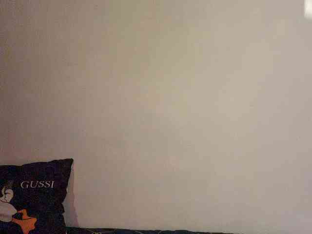 Saliss1 webcam