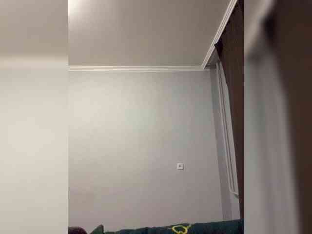 Saliss1 webcam